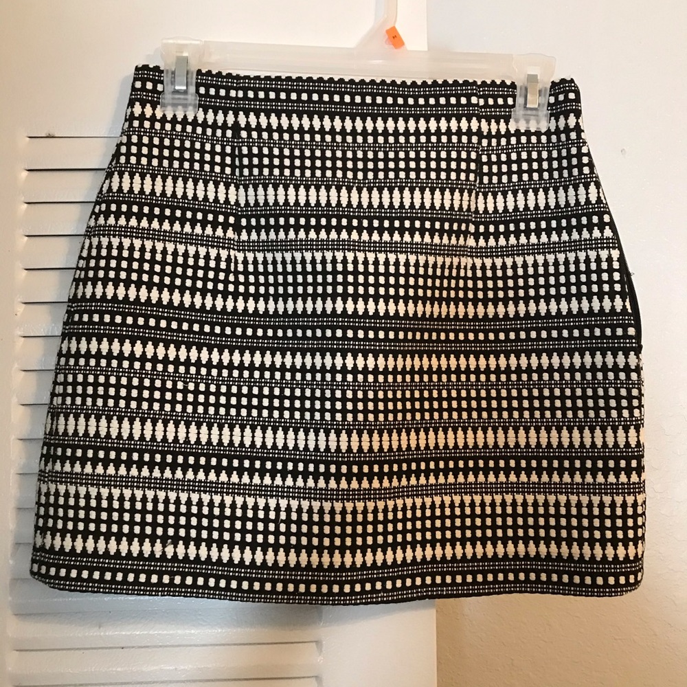 ZARA Mini Skirt